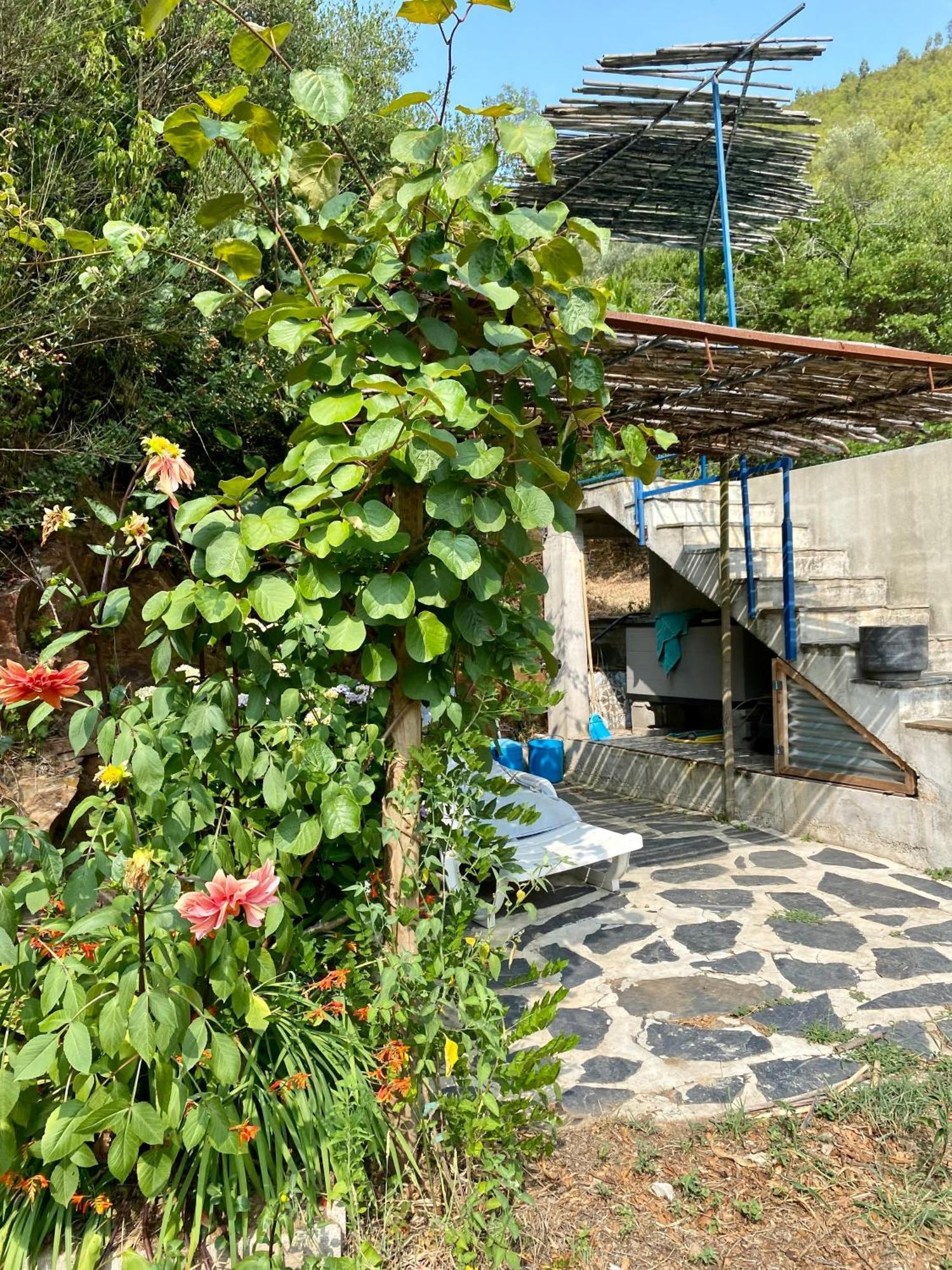 Unique Tiny House With Natural Building Techniques Фіґейро-душ-Віньюш Екстер'єр фото
